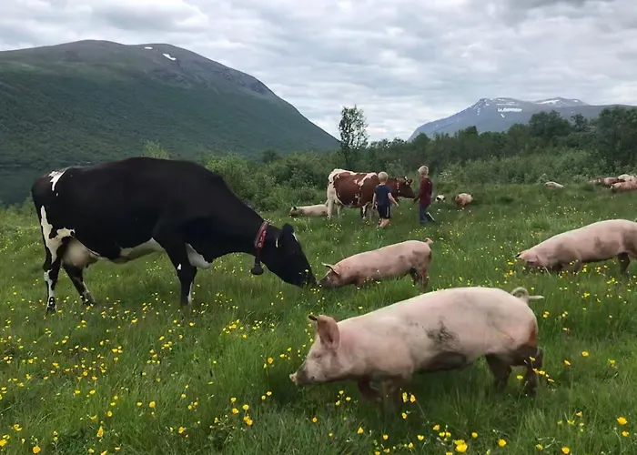 Mountain Skoldungbu 別荘